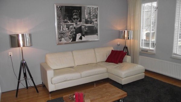 For rent: Flat Oude Singel in Leiden