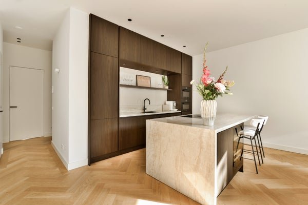For rent: Flat De Lairessestraat 50 1 in Amsterdam