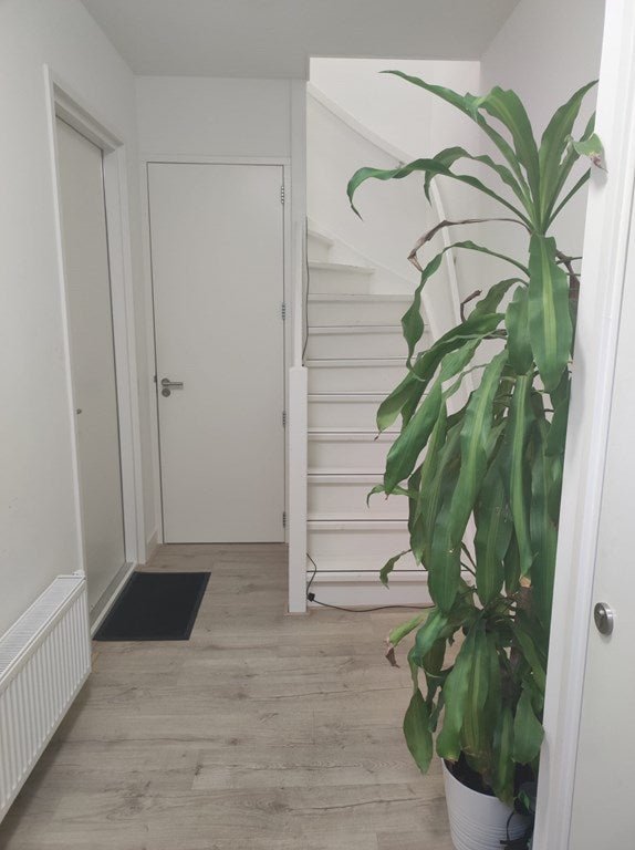 For rent: Flat Nieuwe Stationsstraat 21 C in Ede