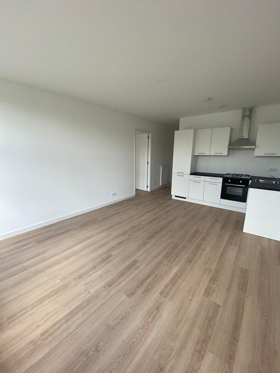 For rent: Flat Mathenesserlaan in Rotterdam