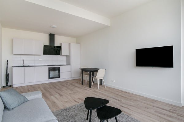 For rent: Flat Wethouder Hillenaarplantsoen 125 in Rijswijk