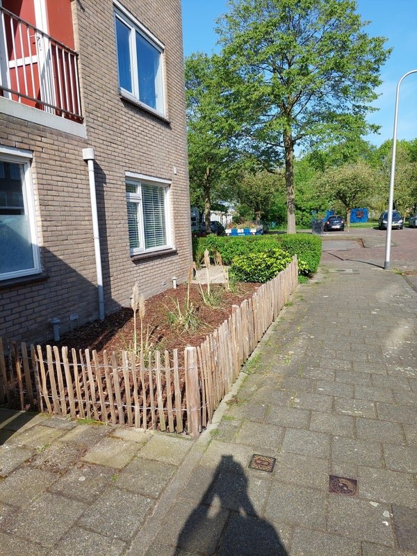 For rent: Flat Salviahof 33 in Noordwijk