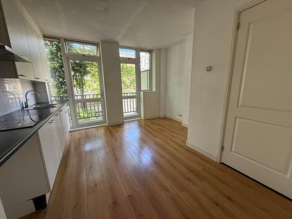 For rent: Flat Van Woustraat 222 1 in Amsterdam