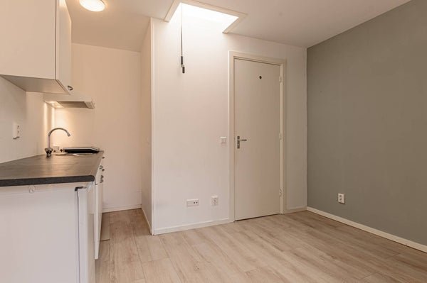 For rent: Studio Olieslagerspoort in Leiden