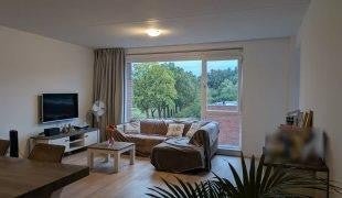 For rent: Flat Meergras in Eindhoven