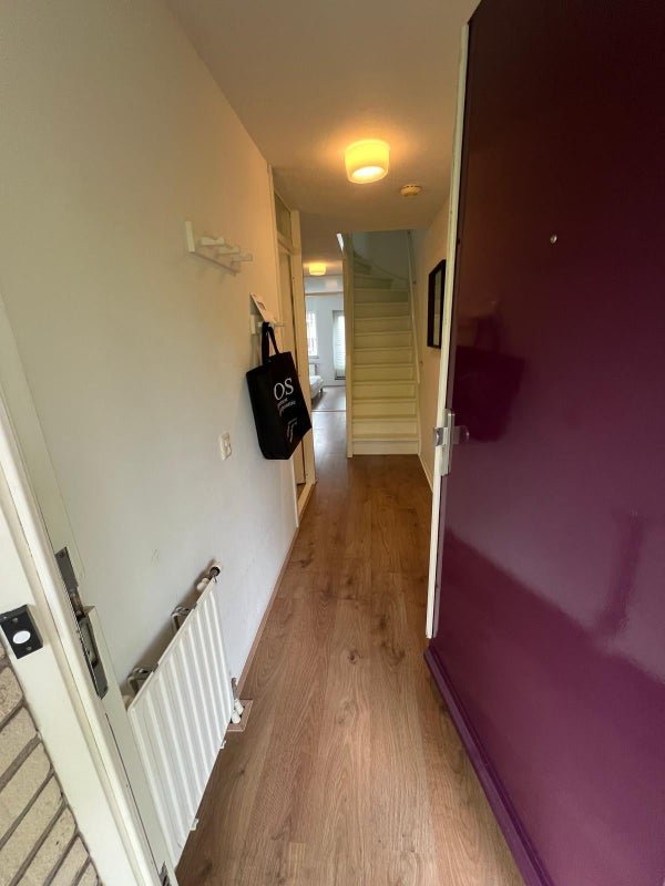 For rent: Flat Ruivenplantsoen in Rotterdam
