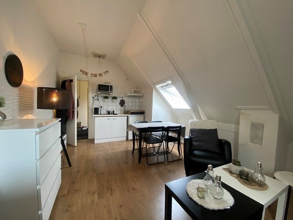 For rent: Room Westersingel in Groningen