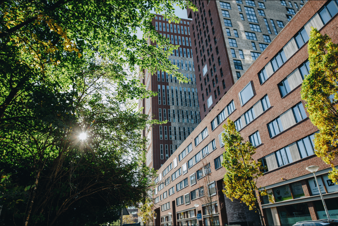 Carolina van Nassaustraat 307