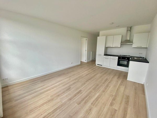 For rent: Flat Mathenesserlaan in Rotterdam