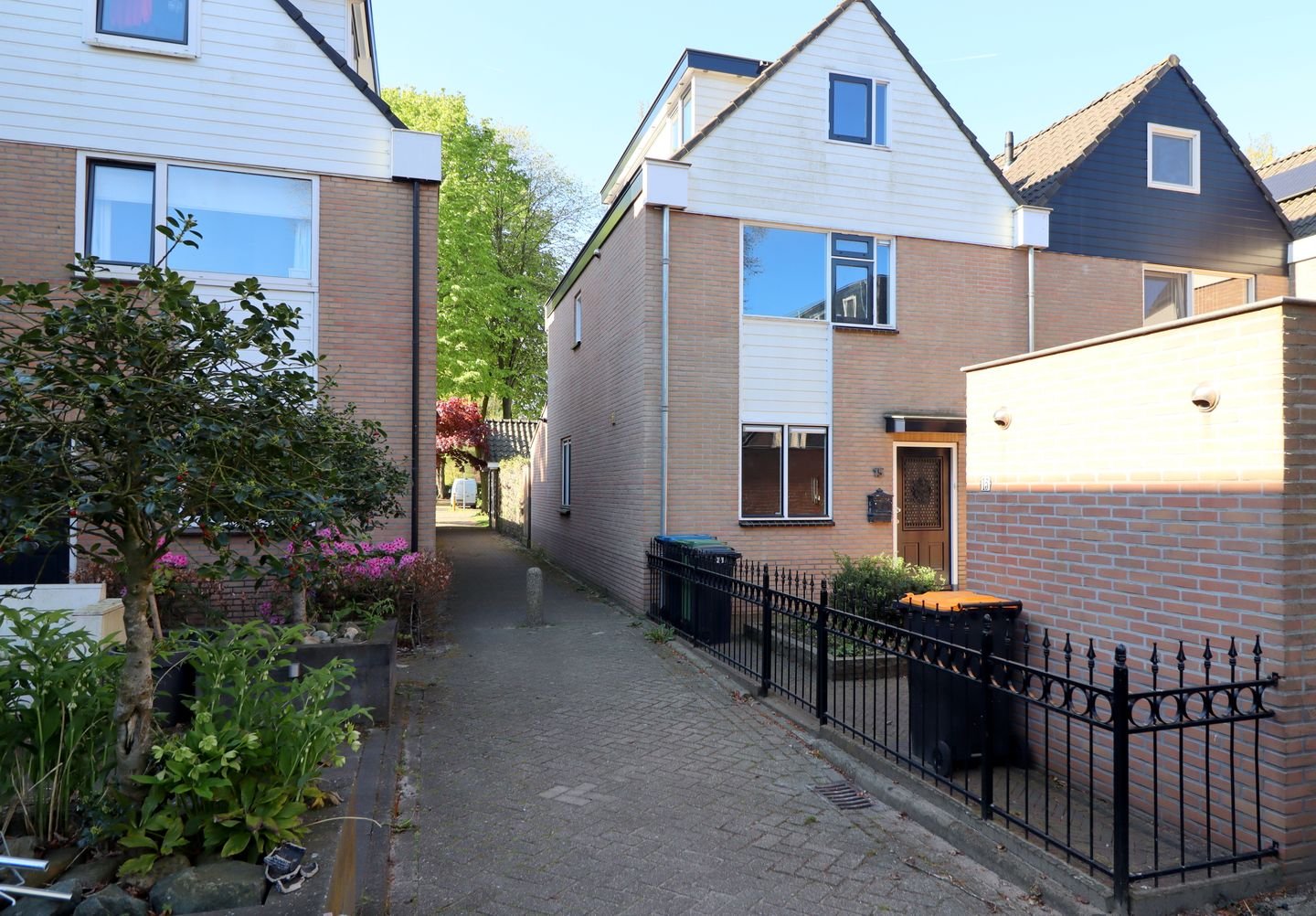 Zwanebloem 15