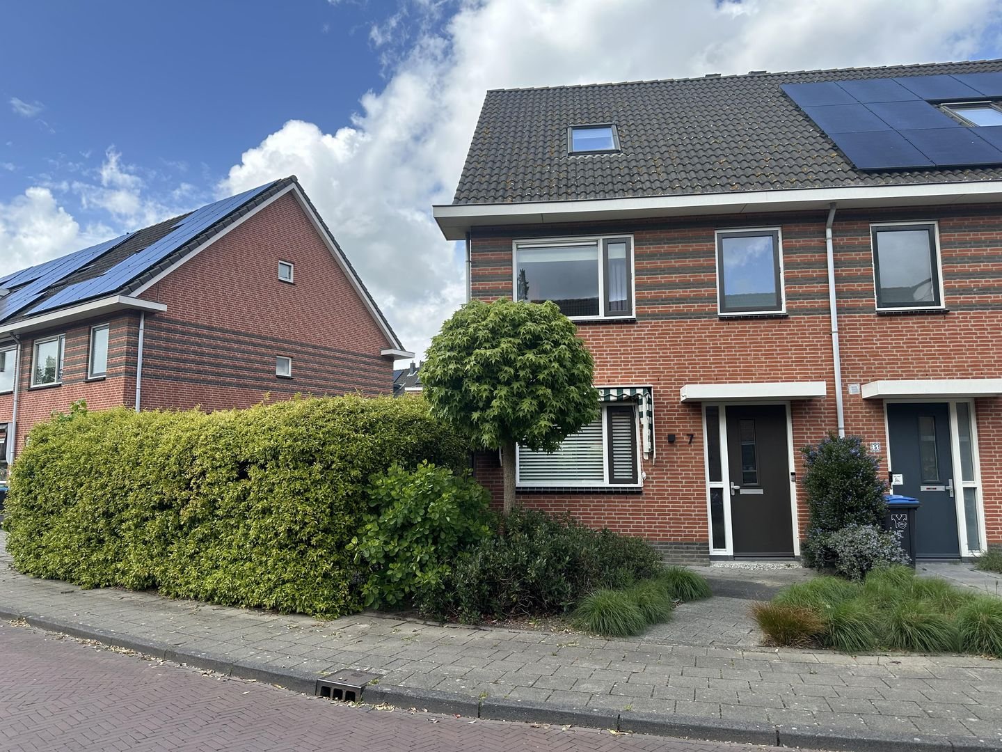 Rozenhout 7