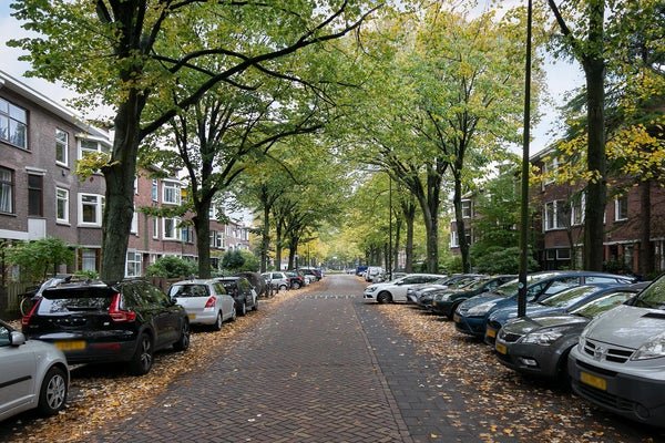 For rent: Flat Caan van Necklaan 92 in Rijswijk
