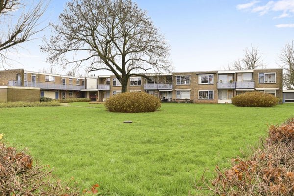 For rent: Flat Meeuwenlaan 26 in Enkhuizen