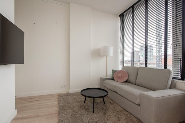 For rent: Flat Wethouder Hillenaarplantsoen 113 in Rijswijk