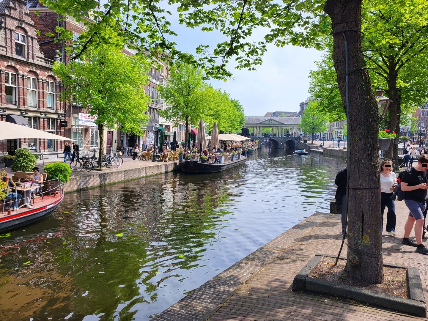 Nieuwe Rijn 8