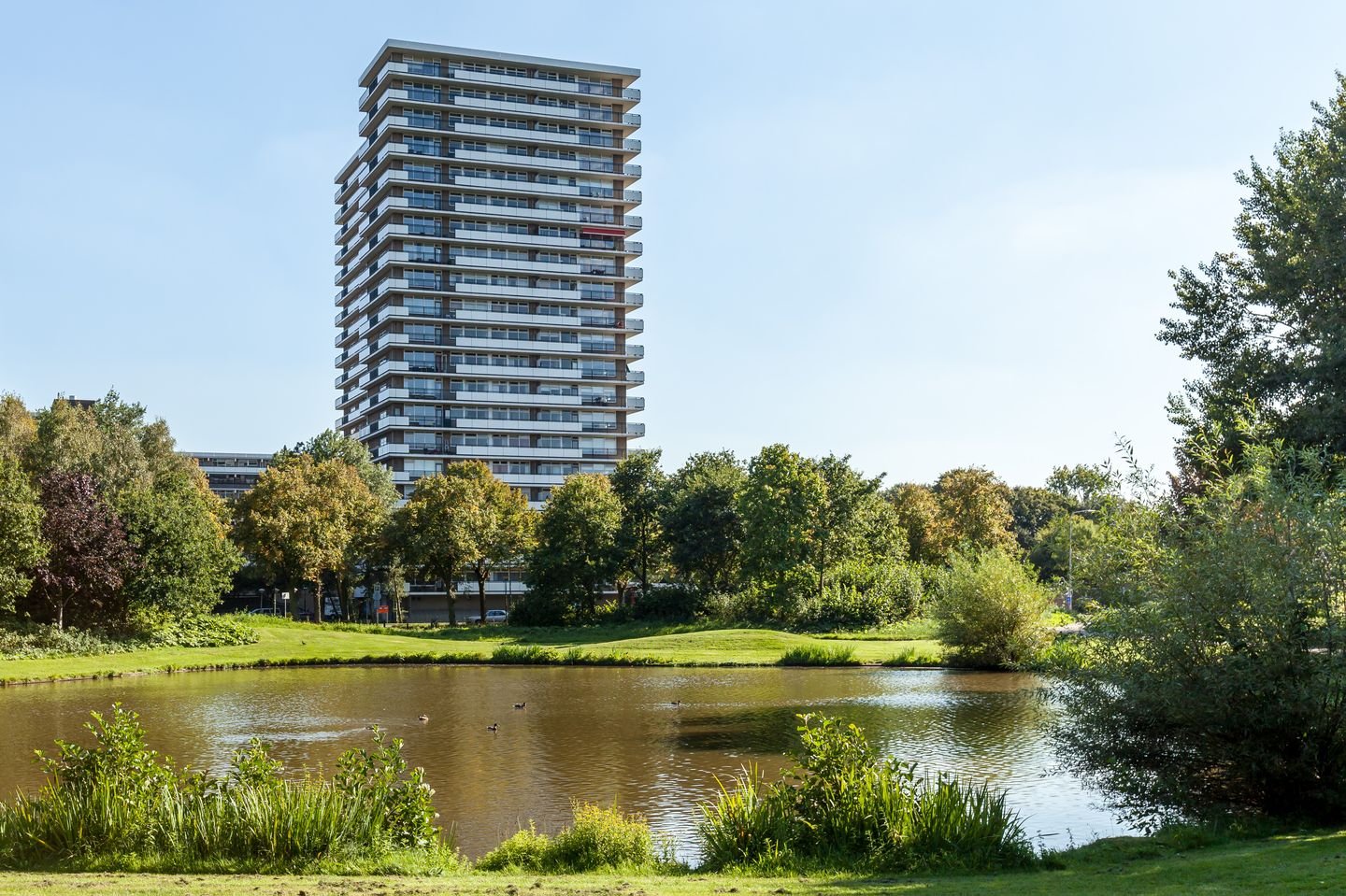 van Vredenburchweg 917