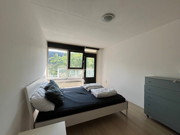 For rent: Flat Kipstraat 141 in Rotterdam