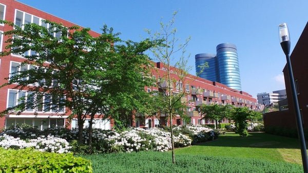 For rent: Flat Groenmarktstraat in Utrecht