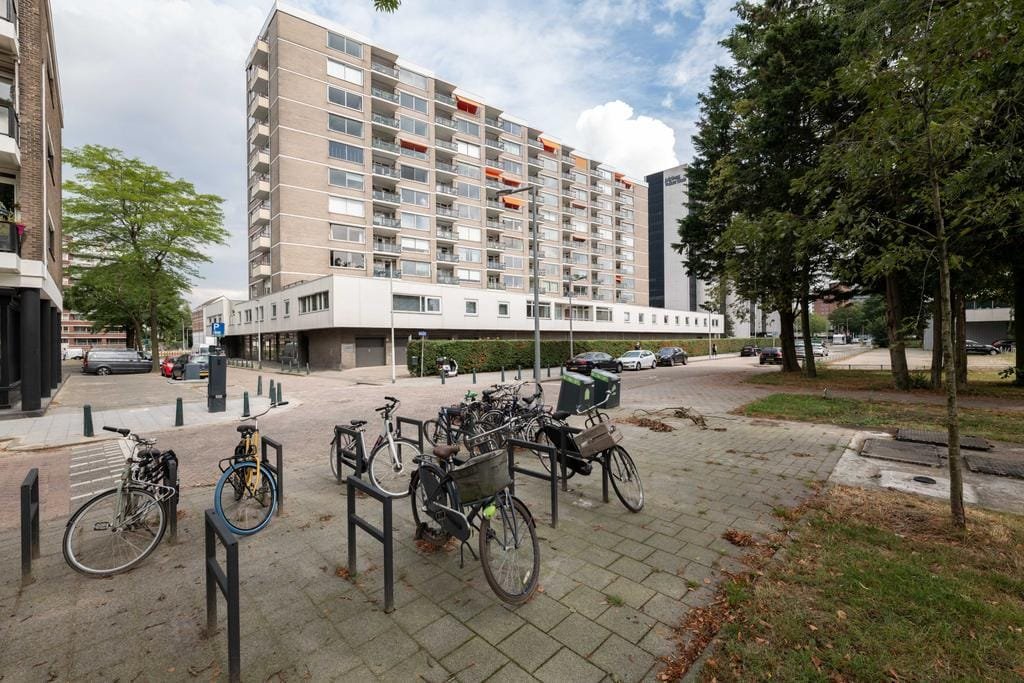 Buizenwerf 175