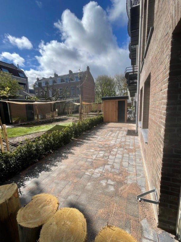 For rent: Flat Wilhelminastraat in Haarlem