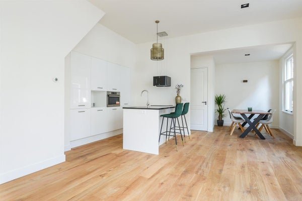 For rent: Flat Drapenierstraat 13 ZW in Haarlem