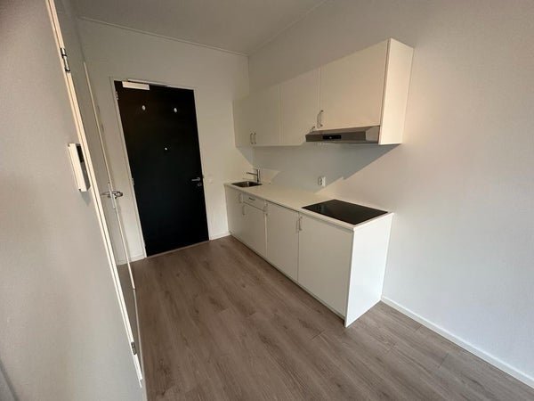 For rent: Studio Flintstraat in Emmen