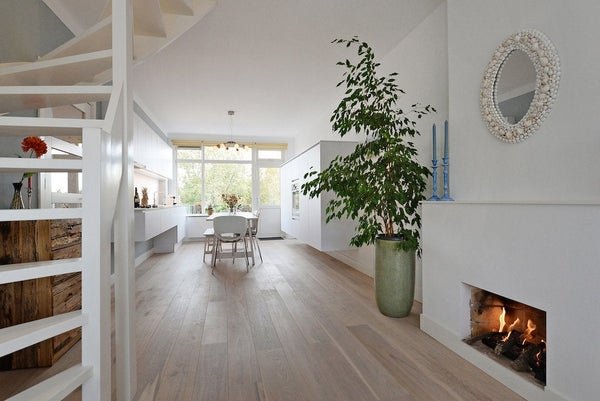 For rent: Flat Tortellaan 34 in Den Haag