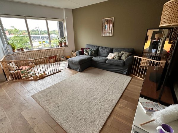 For rent: Flat Piet Mondriaanplein in Amersfoort