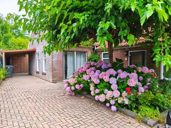 For rent: House Tuinstraat 6 in Ezinge