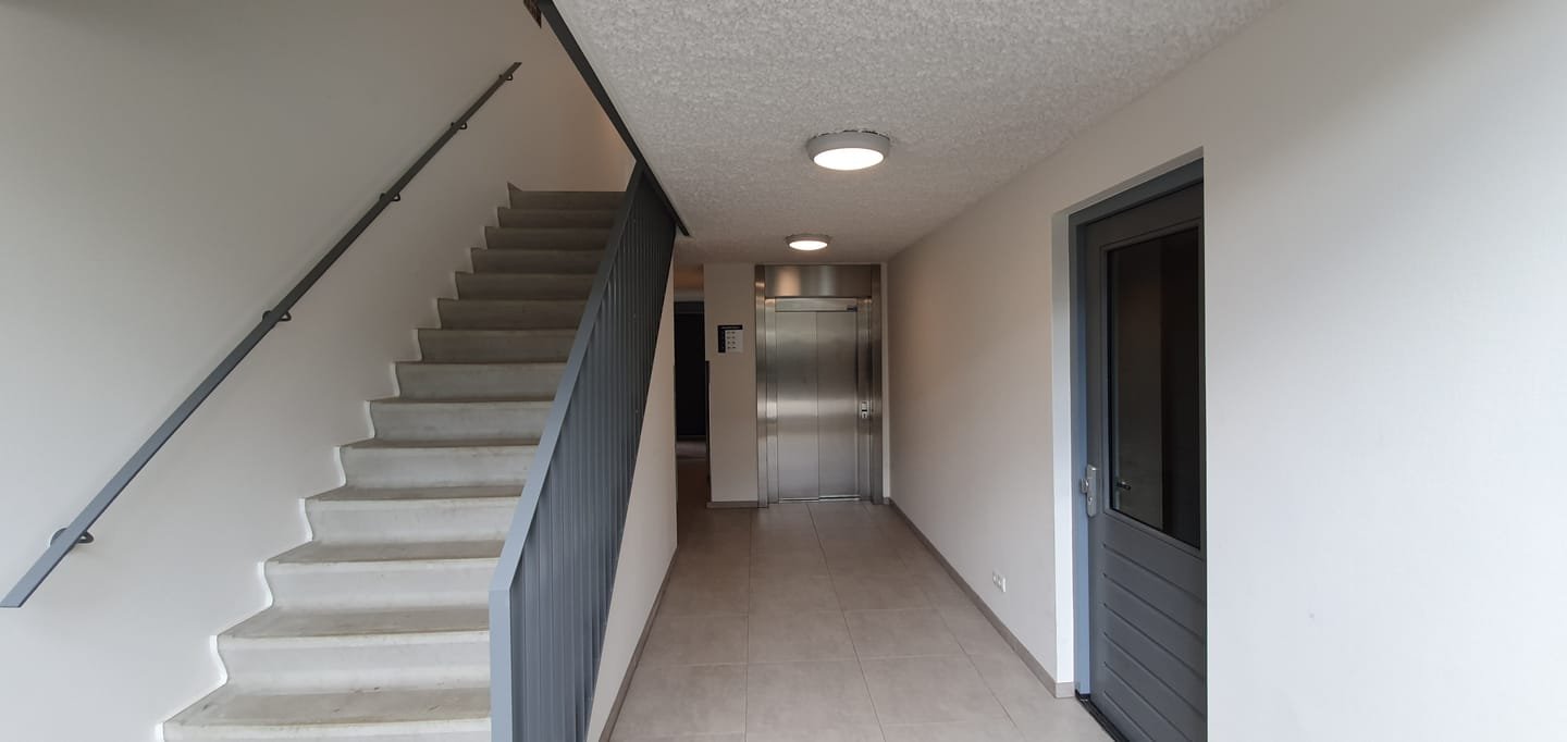 Molenstraat 66