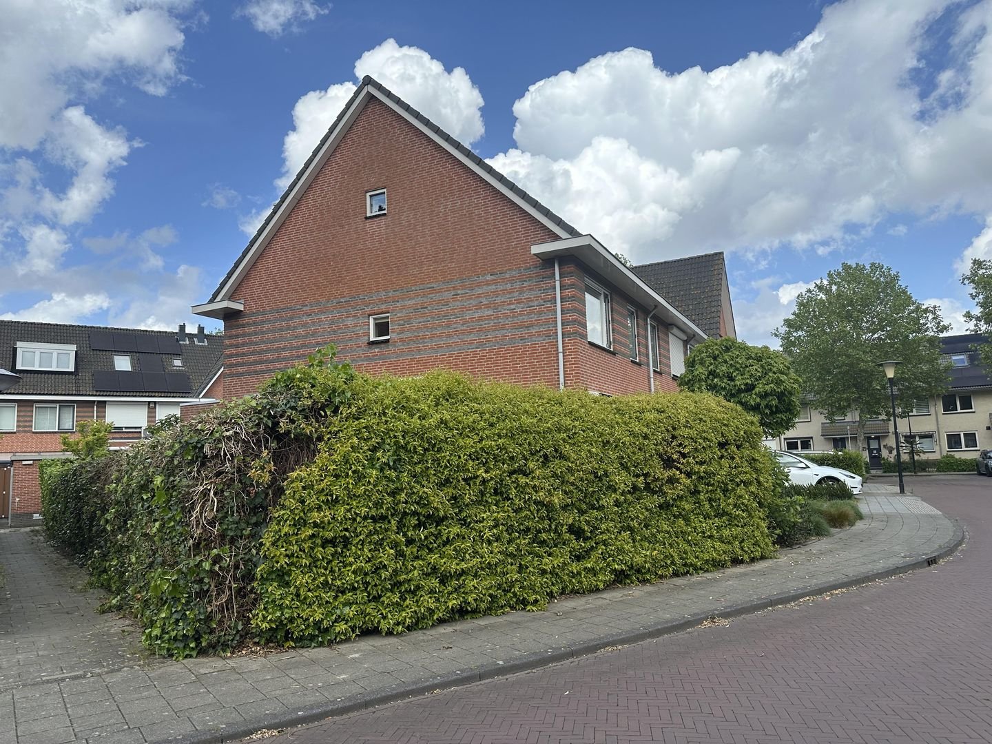 Rozenhout 7