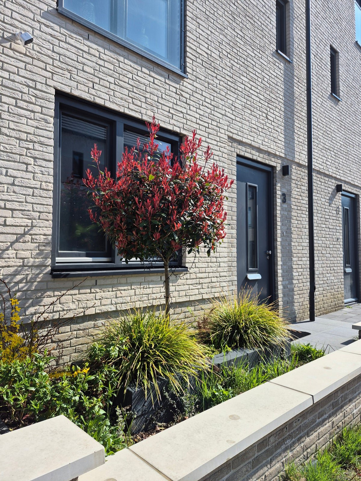 For rent: House Stijging in Eindhoven