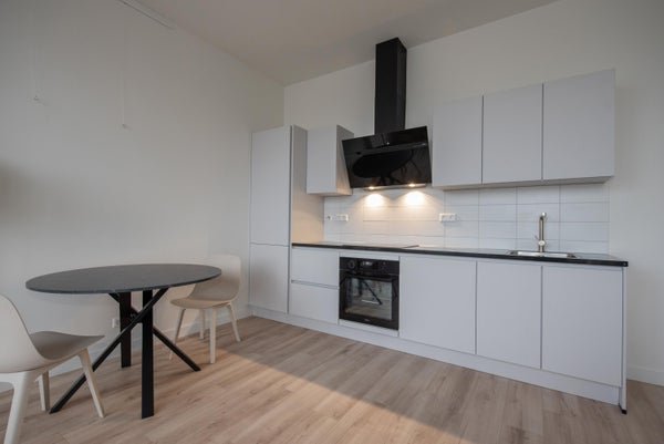 For rent: Flat Wethouder Hillenaarplantsoen 105 in Rijswijk