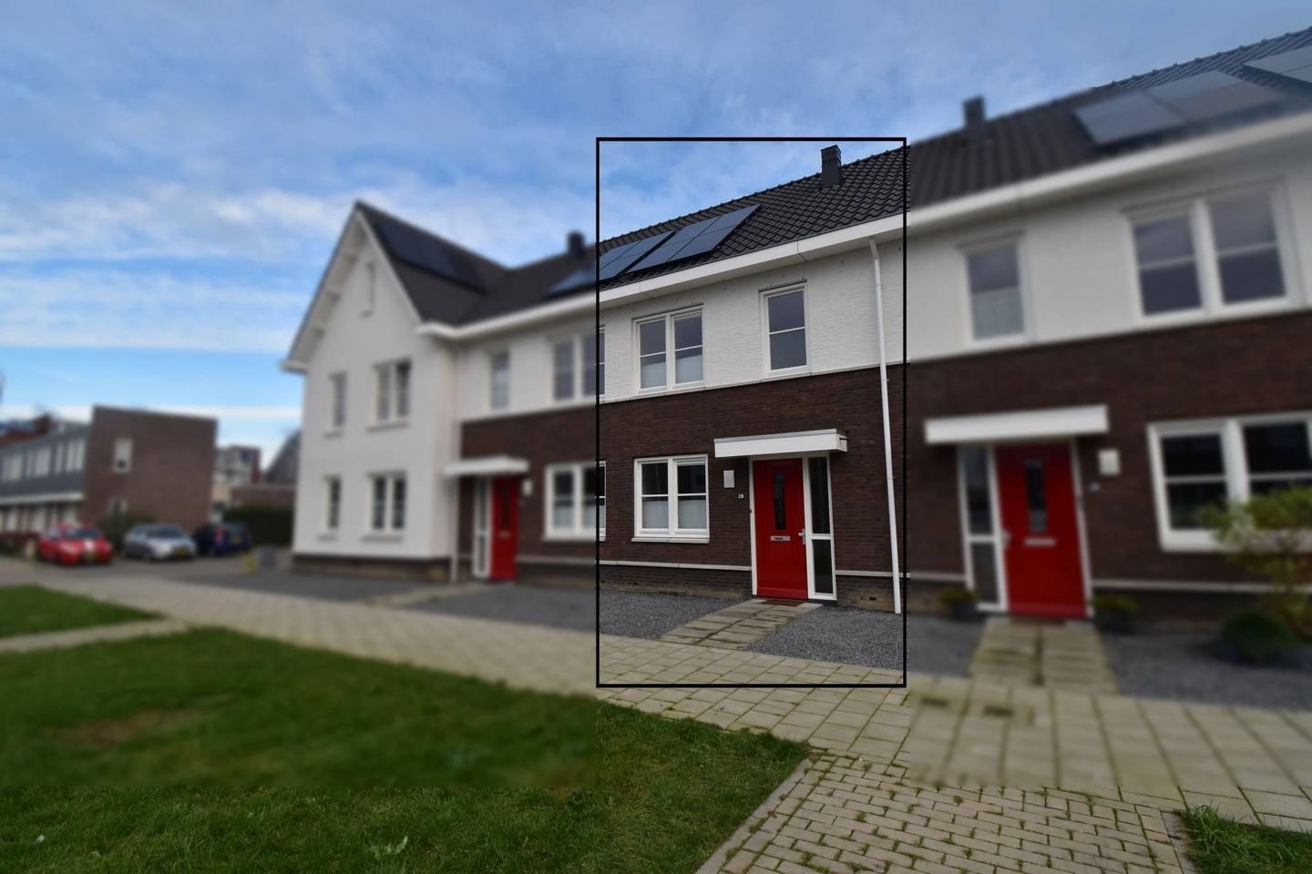 Aardbeivlinder 230