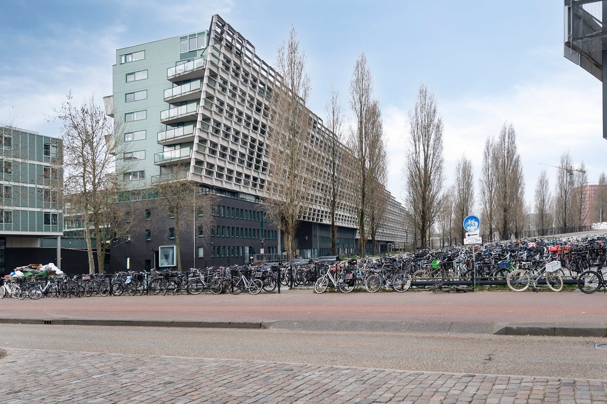For rent: Flat Borneolaan in Amsterdam