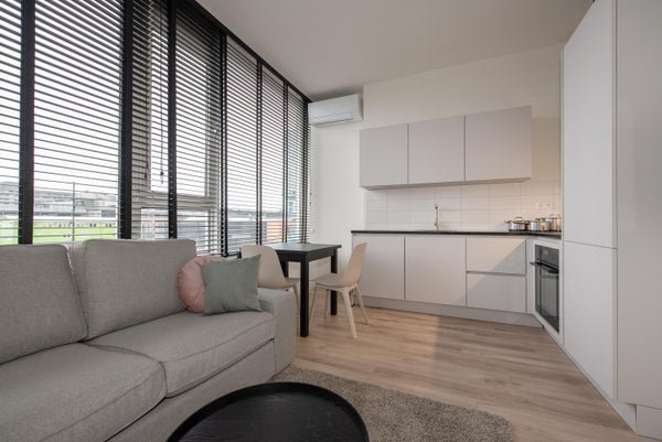 For rent: Flat Wethouder Hillenaarplantsoen 113 in Rijswijk