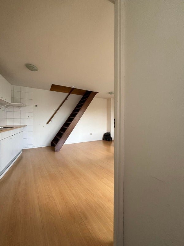For rent: Flat Gedempte Singel in Assen