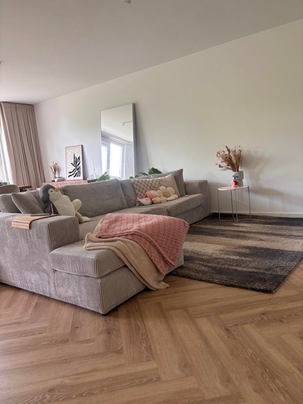 For rent: Flat Crooswijksestraat in Rotterdam