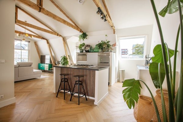 For rent: Flat Kenaustraat in Haarlem
