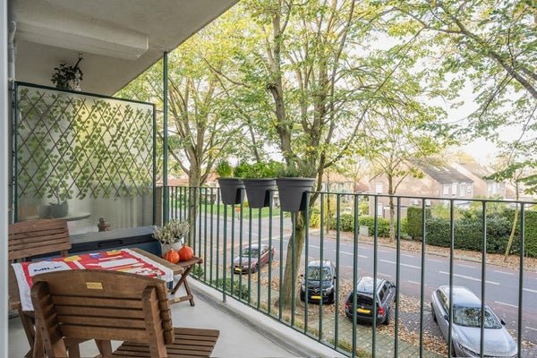 For rent: Flat Henri Hermanslaan 244 in Geleen