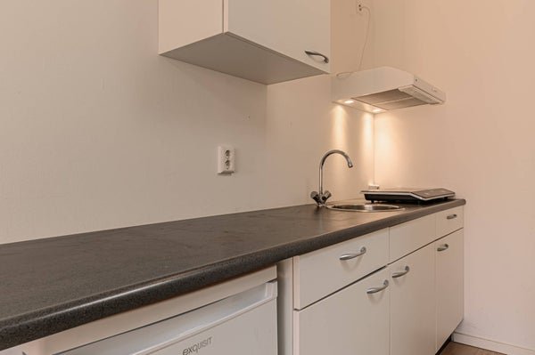 For rent: Studio Olieslagerspoort in Leiden