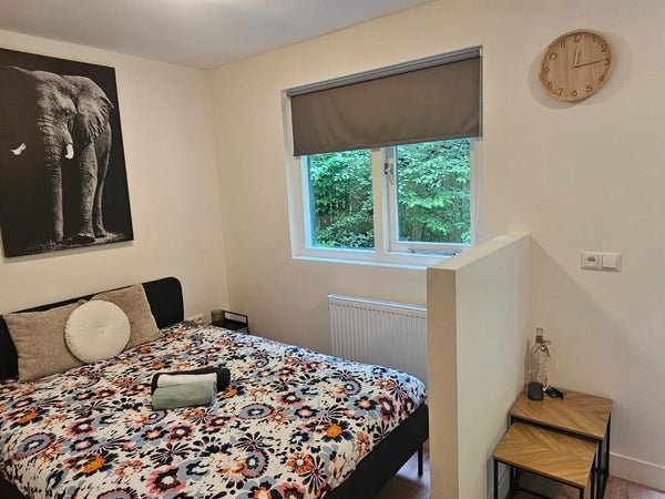 For rent: Studio Hondsrug in Utrecht