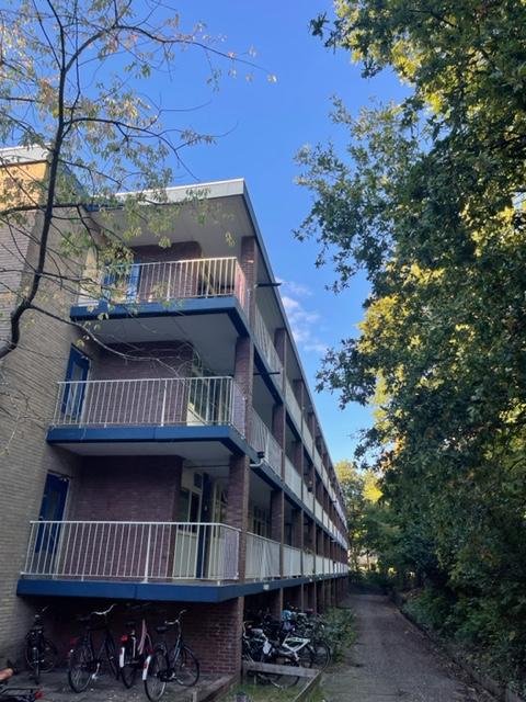 For rent: Flat Anna van Burenlaan in Ede