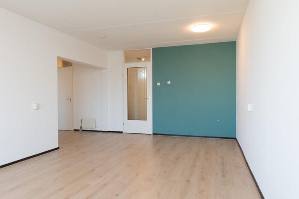 For rent: Flat Frissenstein in Amsterdam