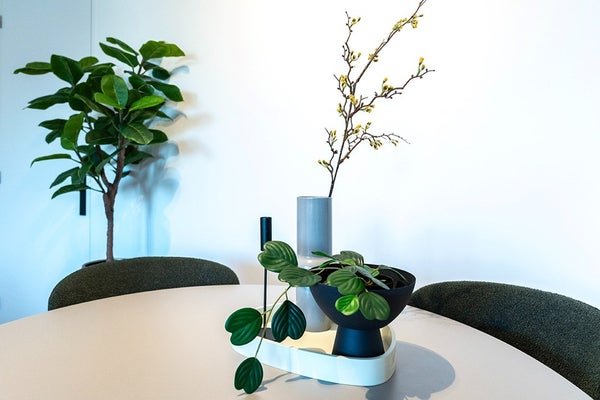 For rent: Flat Voltstraat in Tilburg