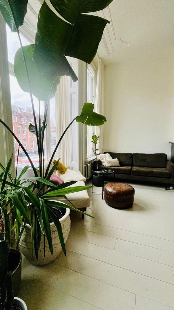 For rent: Flat Oranje Nassaulaan in Den Bosch