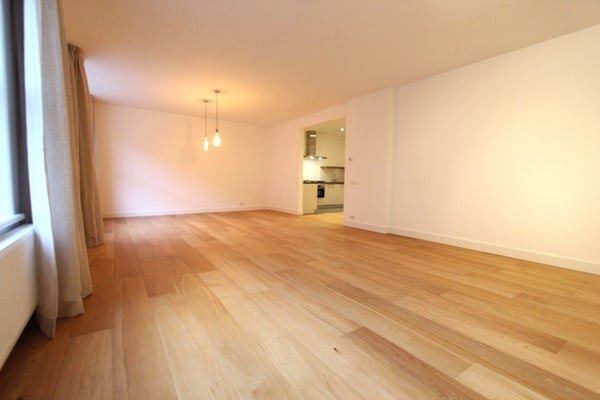 For rent: Flat Pieter de Hoochstraat in Amsterdam