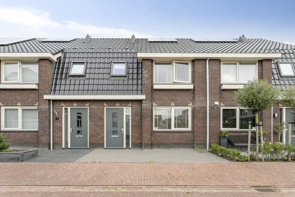 Groenland 33