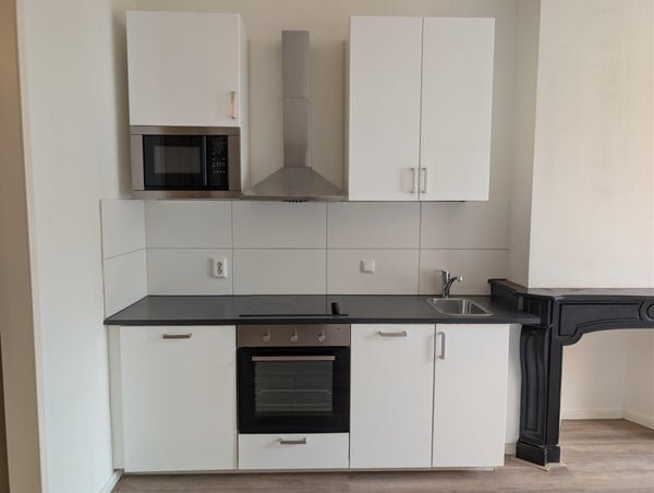 For rent: Flat Vissteeg in Arnhem
