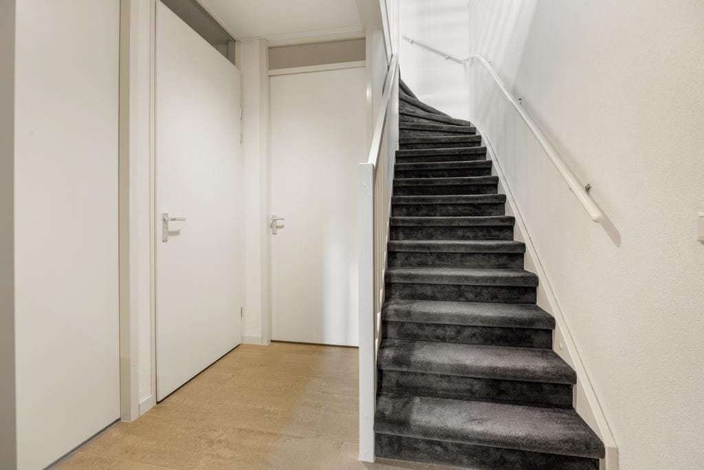 Buys Ballotstraat 55